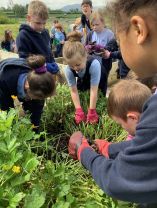 P4 working hard in the Garden 