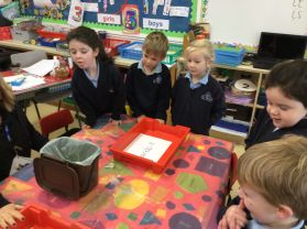 👍P1 take part in the School Waste Challenge👍